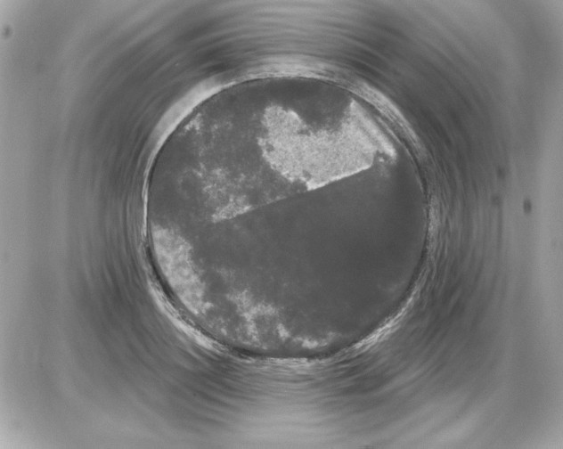 X0000085220844200704091930