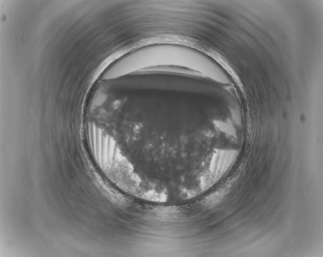 X0000085220845200704091930