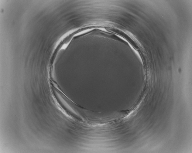 X0000085220846200704091930