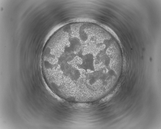 X0000085220847200704091930