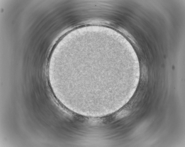 X0000085220848200704091930