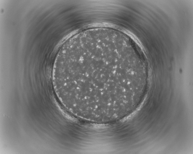 X0000085220849200704091930