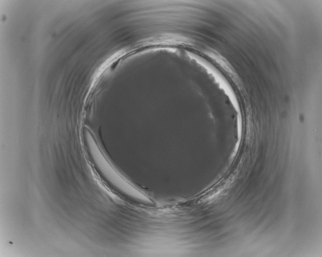 X0000085220850200704091930