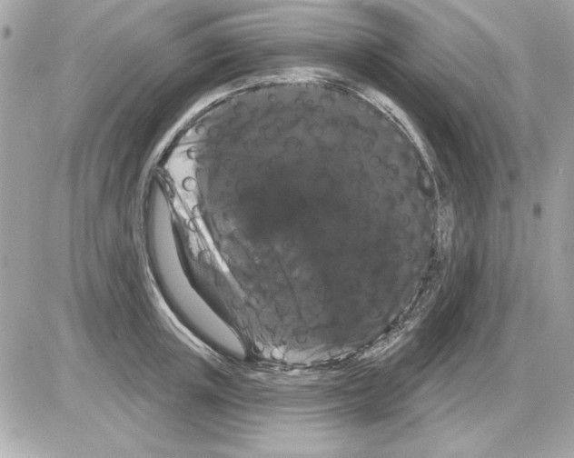 X0000085220851200704091930