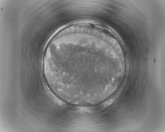 X0000085220852200704091930