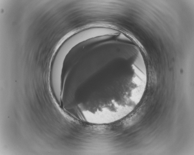 X0000085220853200704091930