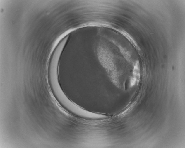 X0000085220854200704091930