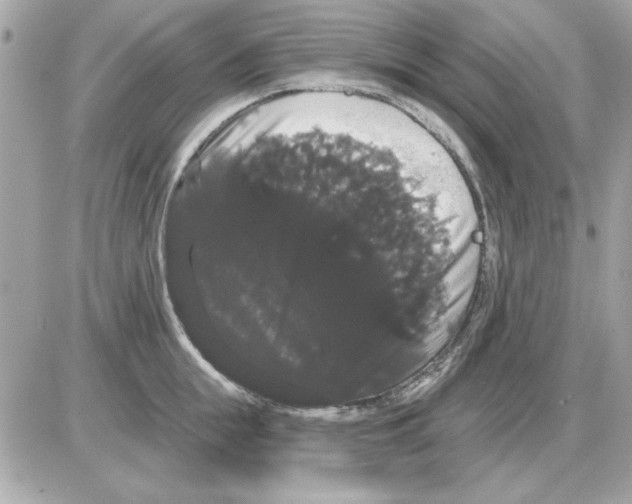 X0000085220855200704091930