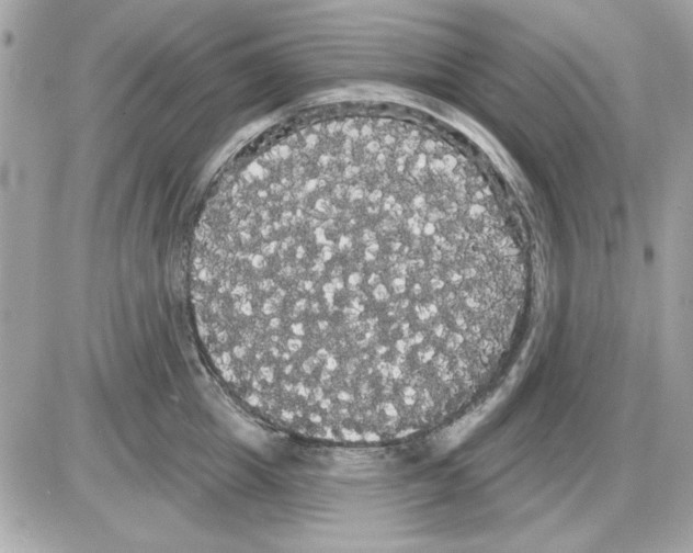 X0000085220857200704091930