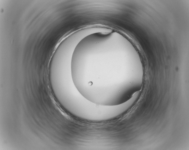 X0000085220858200704091930