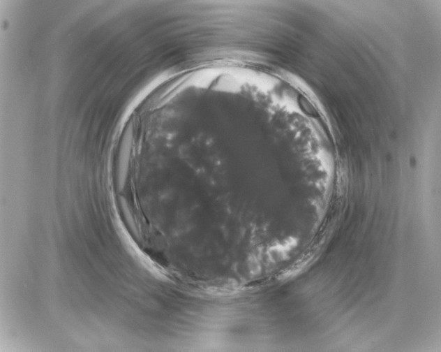 X0000085220859200704091930