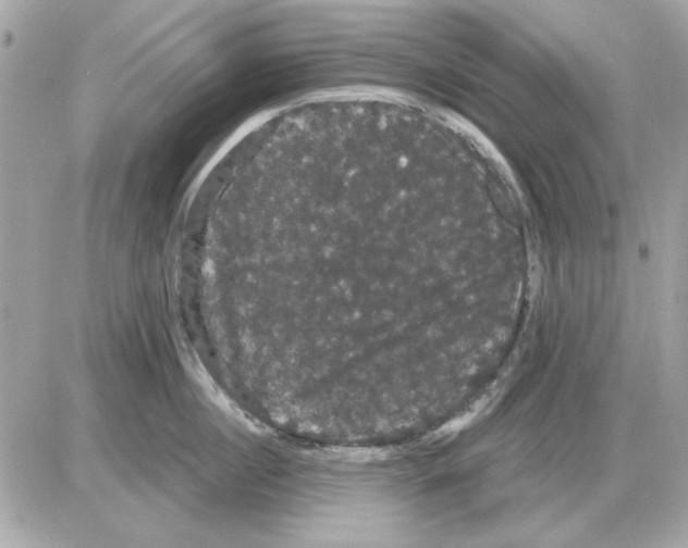 X0000085220860200704091930