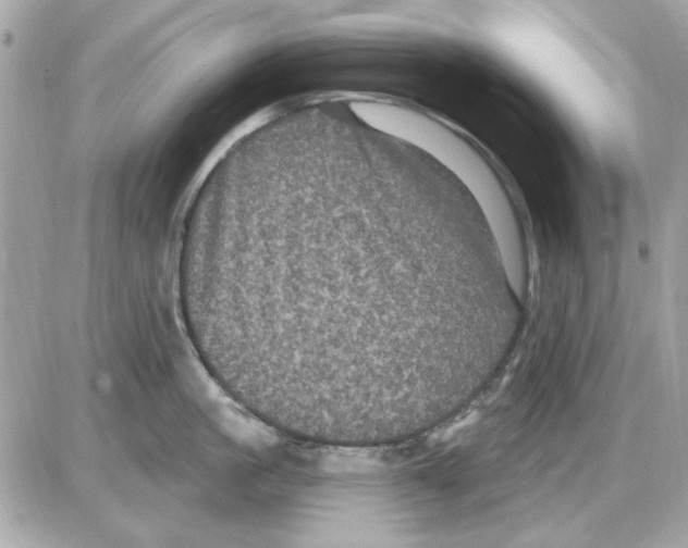 X0000085220861200704091930