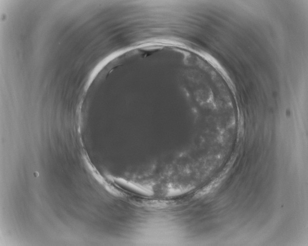 X0000085220862200704091930