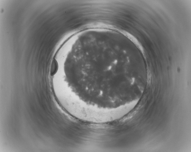 X0000085220863200704091930