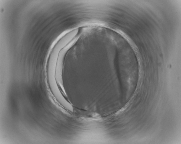 X0000085220864200704091930