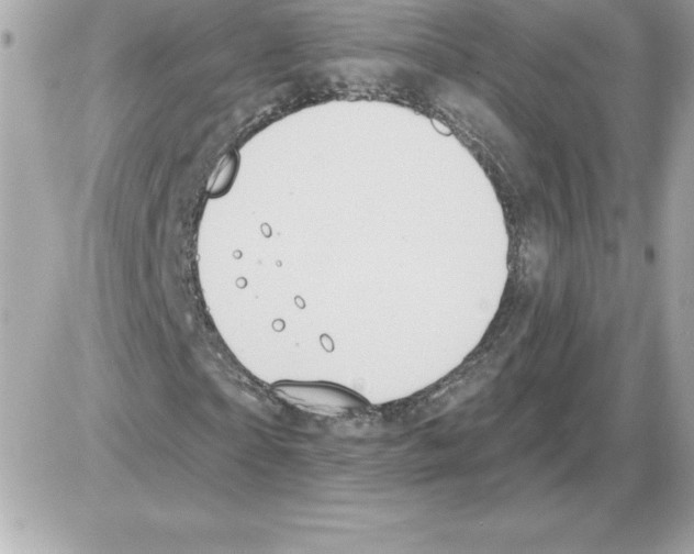 X0000085220865200704091929