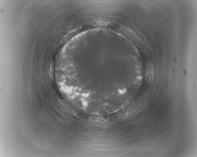 X0000085220866200704091929