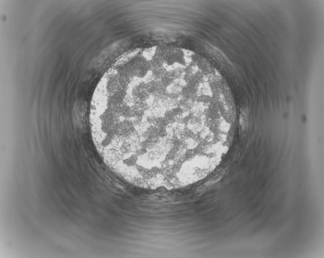 X0000085220867200704091929