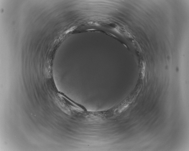 X0000085220868200704091929