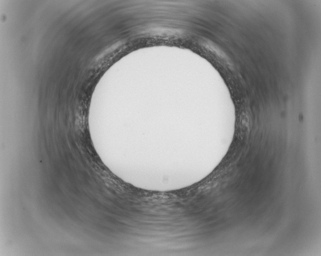 X0000085220869200704091929