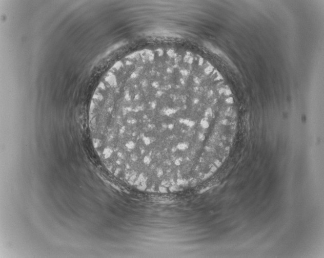 X0000085220870200704091929