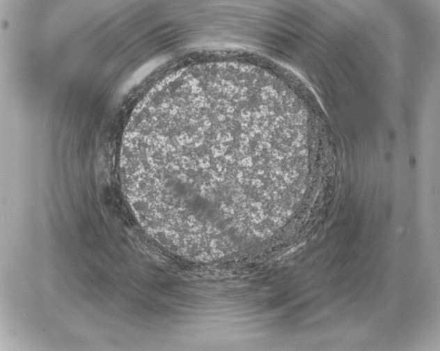 X0000085220871200704091929