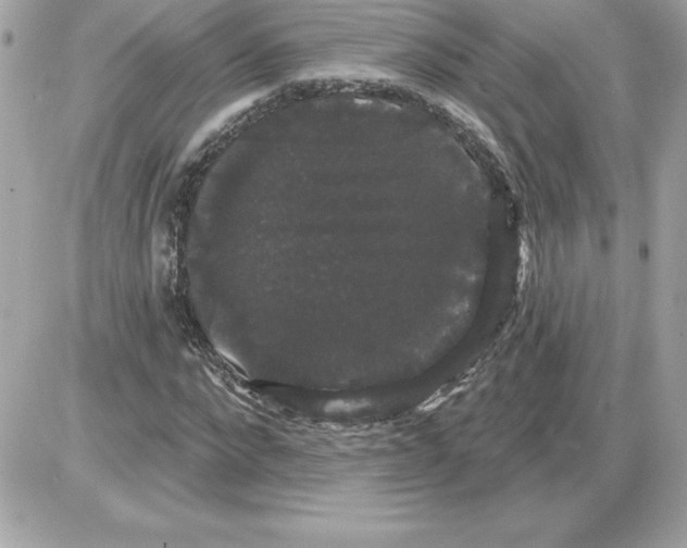 X0000085220872200704091929