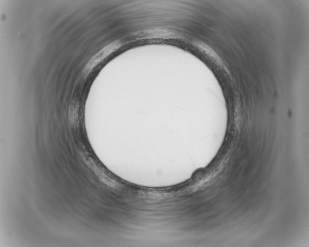 X0000085220873200704091929