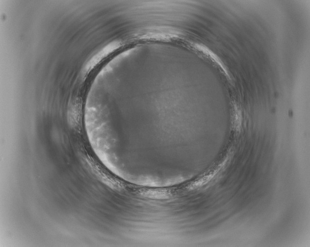 X0000085220874200704091929