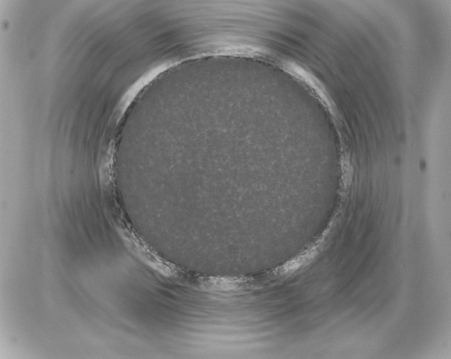 X0000085220875200704091929