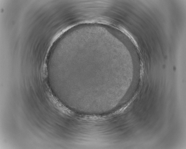 X0000085220876200704091929