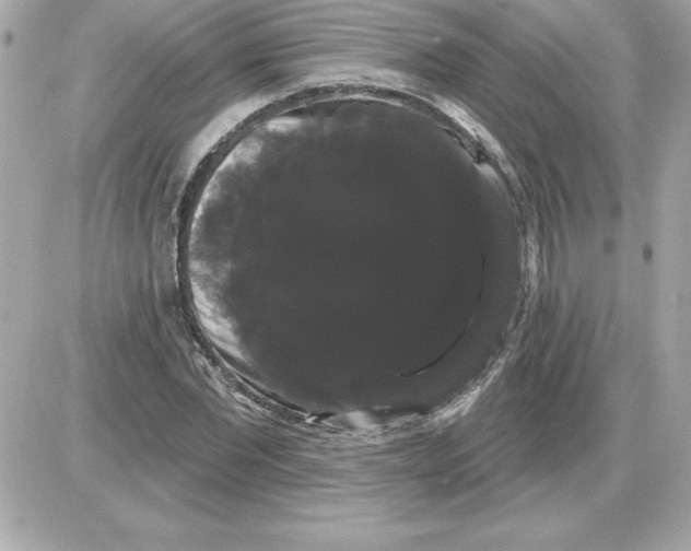 X0000085220877200704091929