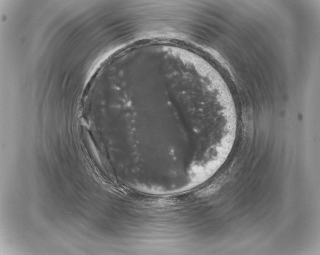 X0000085220879200704091929