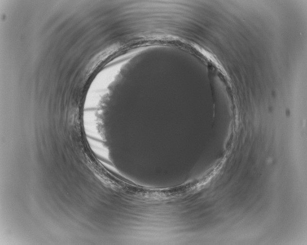 X0000085220881200704091929