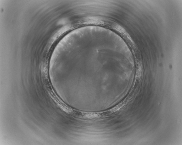 X0000085220882200704091929