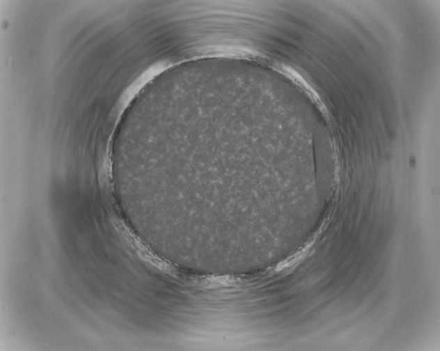 X0000085220883200704091929