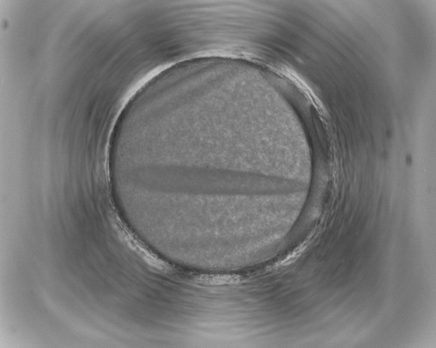 X0000085220884200704091929