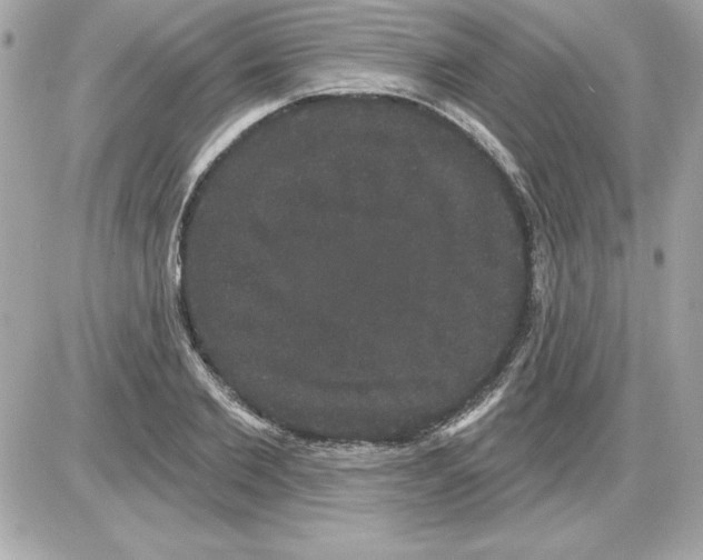 X0000085220885200704091929