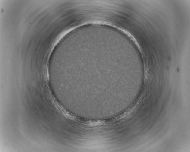 X0000085220887200704091929