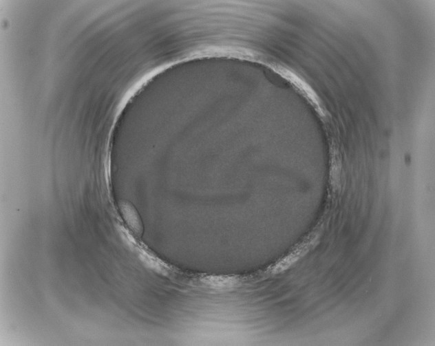 X0000085220888200704091929