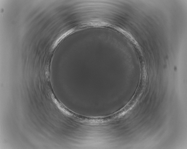 X0000085220889200704091929