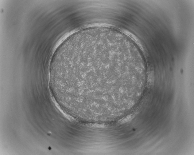 X0000085220890200704091929