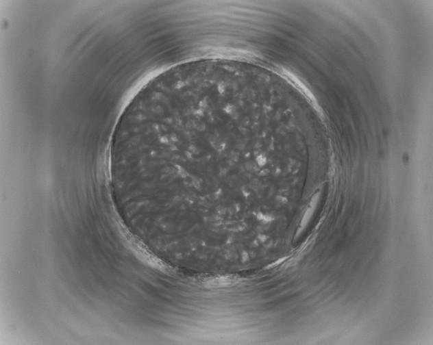 X0000085220891200704091929