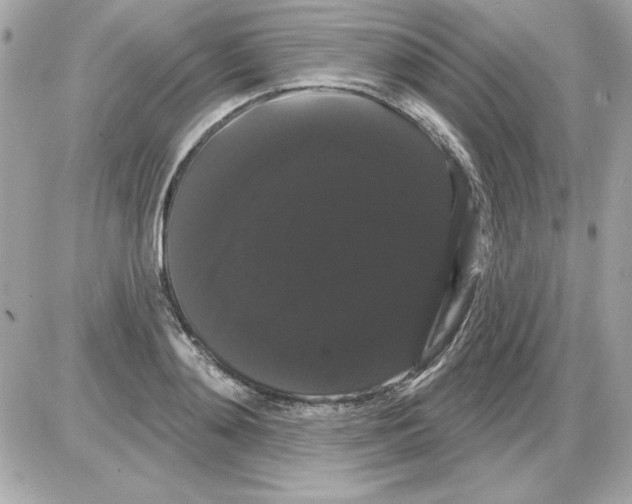 X0000085220892200704091929