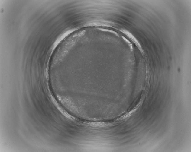 X0000085220893200704091929