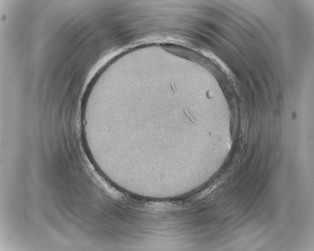 X0000085220894200704091929