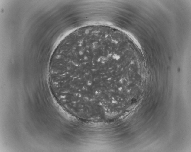 X0000085220895200704091929