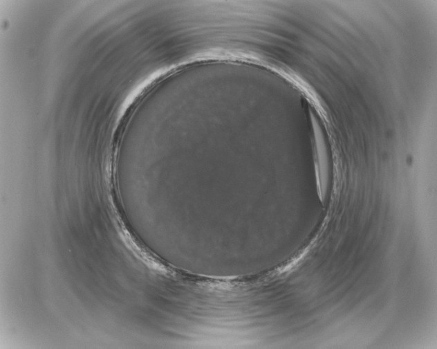 X0000085220896200704091929