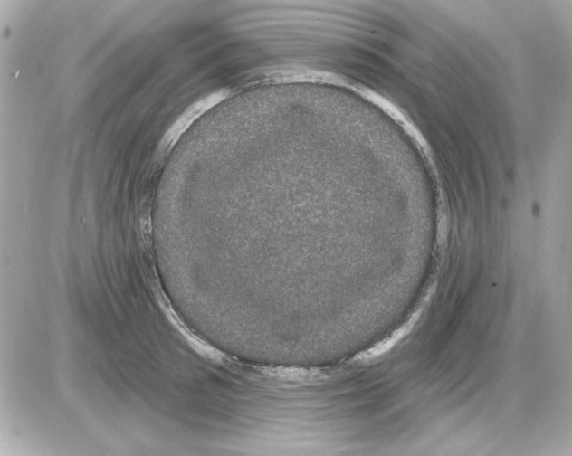 X0000085220897200704091929